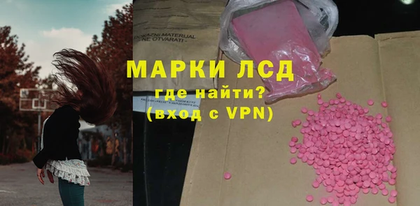 индика Волоколамск