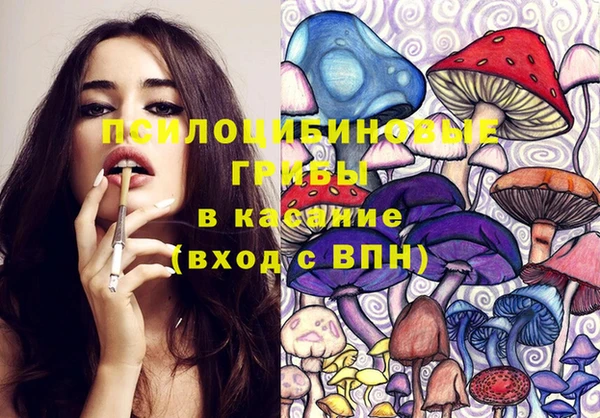 индика Волоколамск