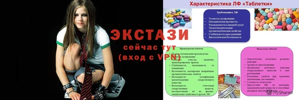 индика Волоколамск
