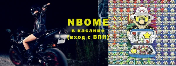 индика Волоколамск