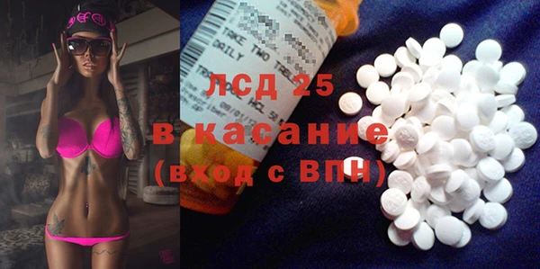 индика Волоколамск