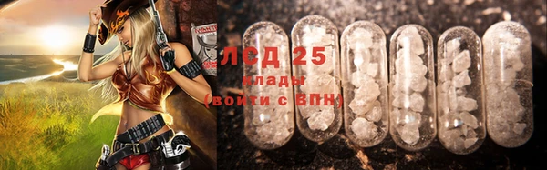 индика Волоколамск