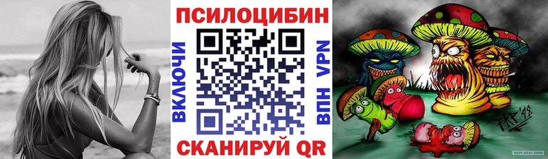Псилоцибиновые грибы мухоморы  где купить   Болгар 